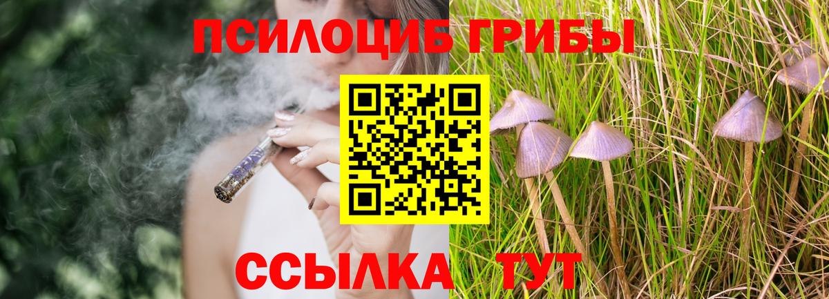 Галлюциногенные грибы Cubensis Аксай
