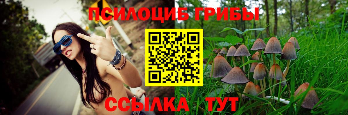 Псилоцибиновые грибы прущие грибы  Вход с VPN  Аксай 
